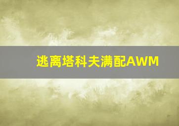 逃离塔科夫满配AWM