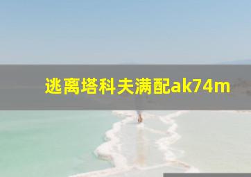 逃离塔科夫满配ak74m