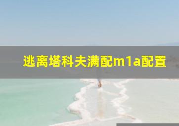 逃离塔科夫满配m1a配置