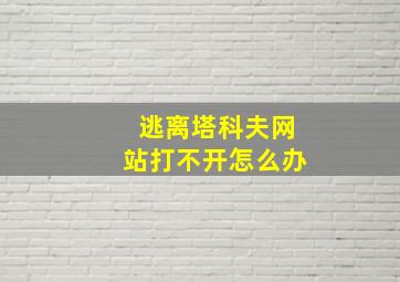 逃离塔科夫网站打不开怎么办