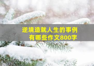 逆境造就人生的事例有哪些作文800字