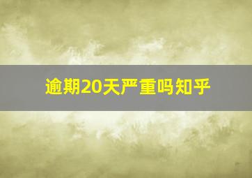 逾期20天严重吗知乎