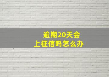 逾期20天会上征信吗怎么办