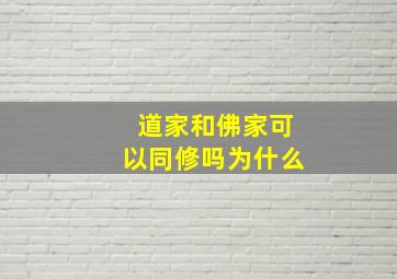 道家和佛家可以同修吗为什么