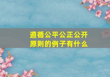 遵循公平公正公开原则的例子有什么