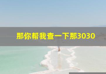 那你帮我查一下那3030