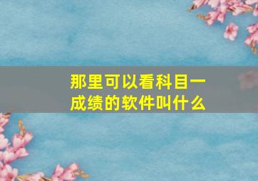 那里可以看科目一成绩的软件叫什么