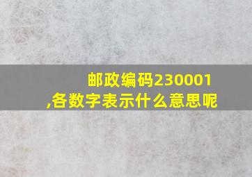 邮政编码230001,各数字表示什么意思呢