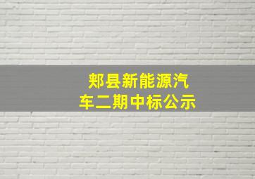 郏县新能源汽车二期中标公示