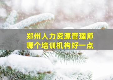 郑州人力资源管理师哪个培训机构好一点