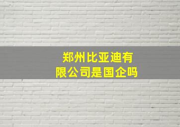 郑州比亚迪有限公司是国企吗