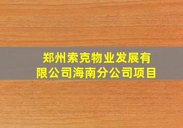 郑州索克物业发展有限公司海南分公司项目