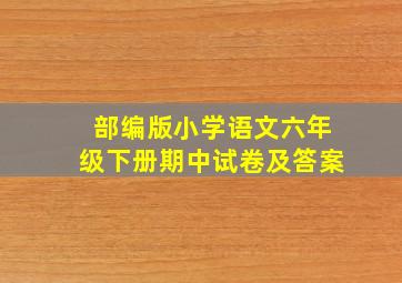 部编版小学语文六年级下册期中试卷及答案