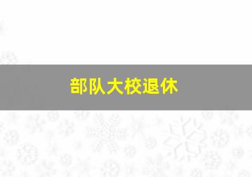 部队大校退休