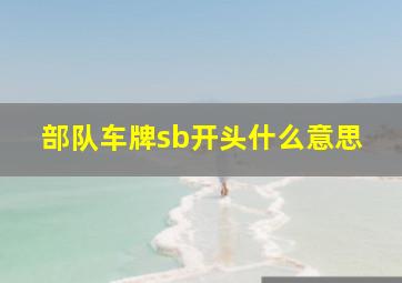 部队车牌sb开头什么意思