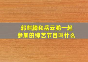 郭麒麟和岳云鹏一起参加的综艺节目叫什么