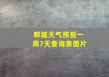 郸城天气预报一周7天查询表图片