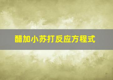 醋加小苏打反应方程式