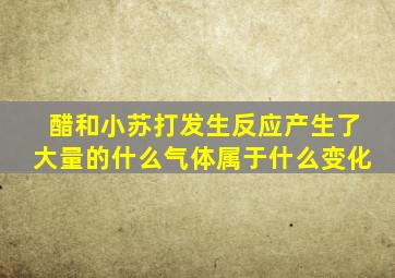 醋和小苏打发生反应产生了大量的什么气体属于什么变化