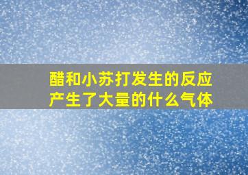 醋和小苏打发生的反应产生了大量的什么气体