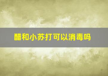 醋和小苏打可以消毒吗