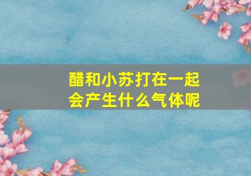 醋和小苏打在一起会产生什么气体呢