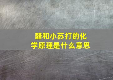 醋和小苏打的化学原理是什么意思