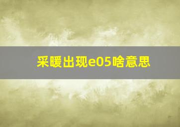 采暖出现e05啥意思