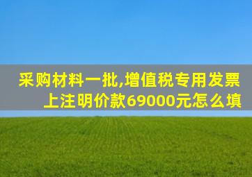 采购材料一批,增值税专用发票上注明价款69000元怎么填