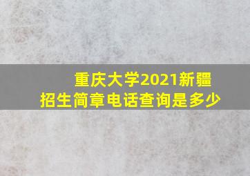 重庆大学2021新疆招生简章电话查询是多少