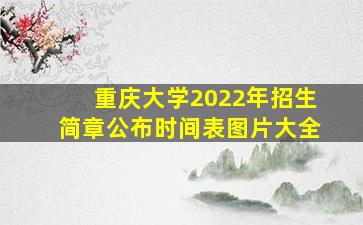 重庆大学2022年招生简章公布时间表图片大全