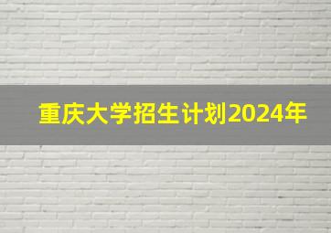 重庆大学招生计划2024年