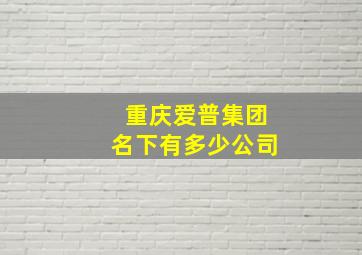 重庆爱普集团名下有多少公司