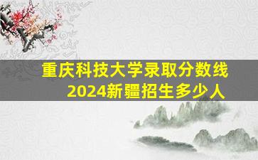 重庆科技大学录取分数线2024新疆招生多少人