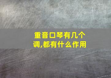 重音口琴有几个调,都有什么作用