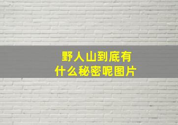 野人山到底有什么秘密呢图片