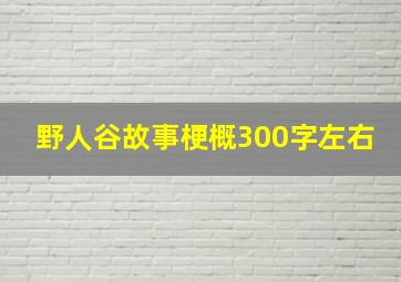 野人谷故事梗概300字左右