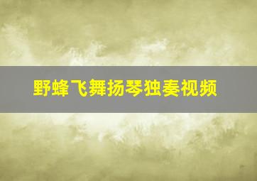 野蜂飞舞扬琴独奏视频