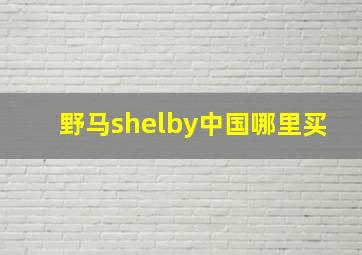 野马shelby中国哪里买