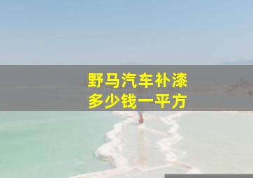 野马汽车补漆多少钱一平方