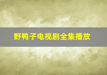 野鸭子电视剧全集播放