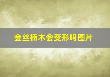 金丝楠木会变形吗图片