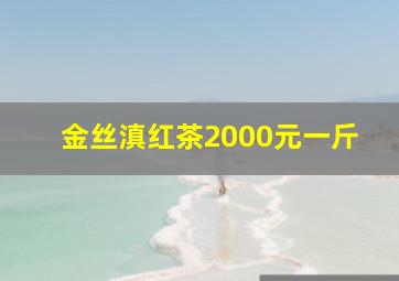 金丝滇红茶2000元一斤