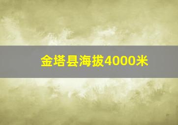 金塔县海拔4000米