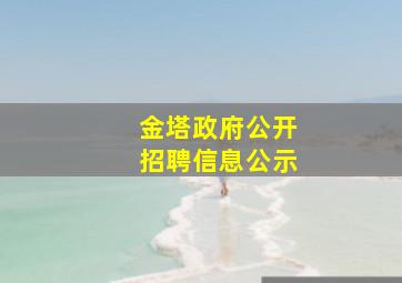 金塔政府公开招聘信息公示