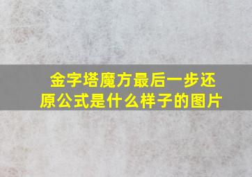 金字塔魔方最后一步还原公式是什么样子的图片