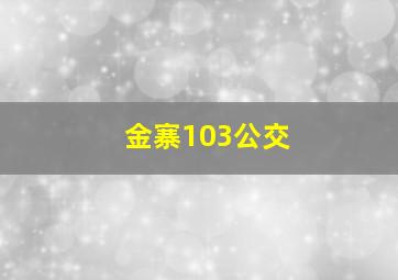 金寨103公交