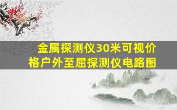 金属探测仪30米可视价格户外至屈探测仪电路图