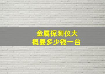 金属探测仪大概要多少钱一台