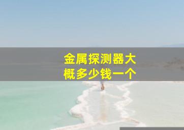 金属探测器大概多少钱一个